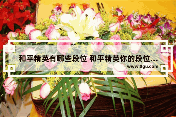 和平精英有哪些段位 和平精英你的段位有哪些