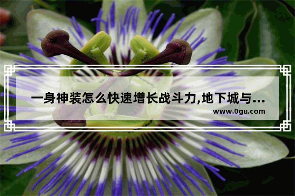 一身神装怎么快速增长战斗力,地下城与勇士神装选择属性
