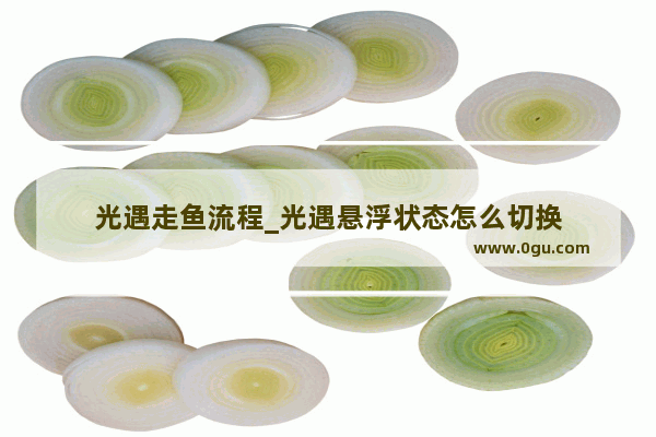 光遇走鱼流程_光遇悬浮状态怎么切换