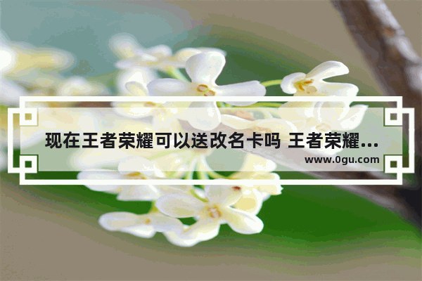 现在王者荣耀可以送改名卡吗 王者荣耀可以送改名卡吗