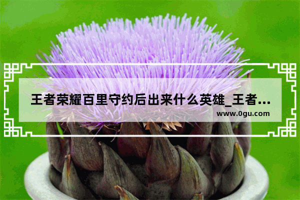 王者荣耀百里守约后出来什么英雄_王者荣耀转区角色迁移