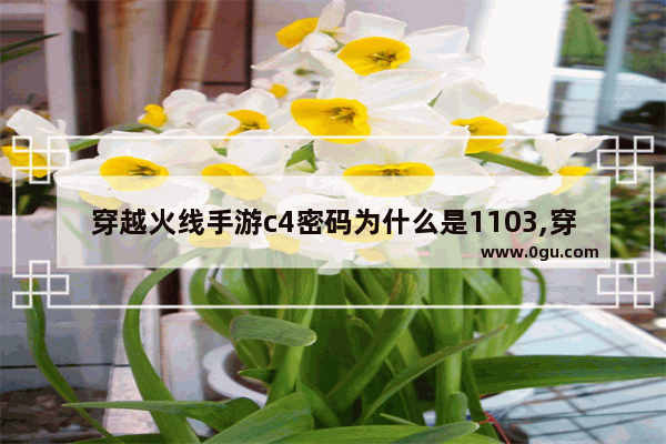 穿越火线手游c4密码为什么是1103,穿越火线手游好号密码