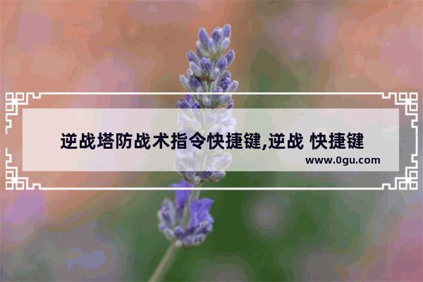 逆战塔防战术指令快捷键,逆战 快捷键