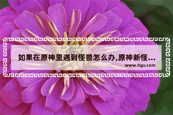 如果在原神里遇到怪兽怎么办,原神新怪兽攻略