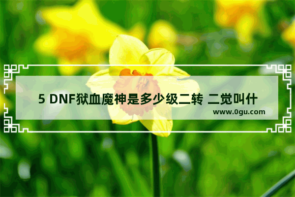 5 DNF狱血魔神是多少级二转 二觉叫什么_DNF新奶爸二觉是什么意思