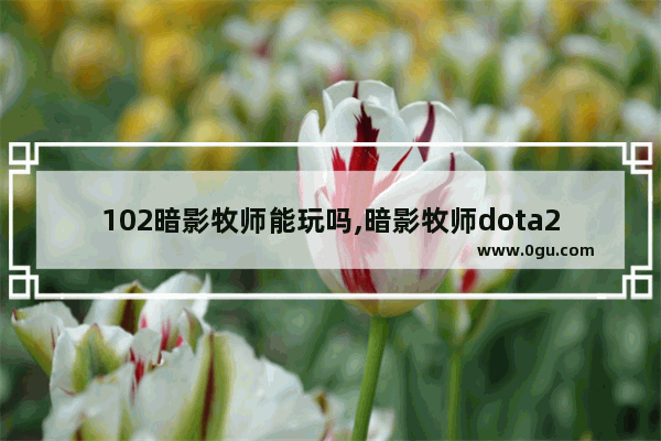 102暗影牧师能玩吗,暗影牧师dota2