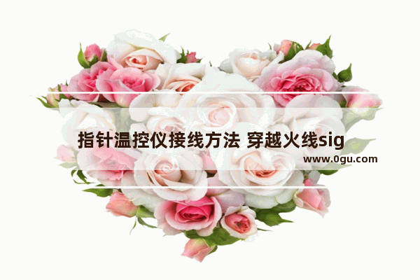 指针温控仪接线方法 穿越火线sig