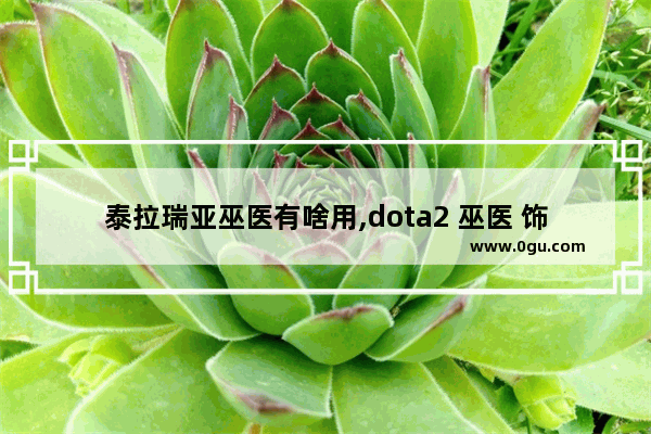 泰拉瑞亚巫医有啥用,dota2 巫医 饰品