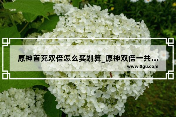 原神首充双倍怎么买划算_原神双倍一共多少抽