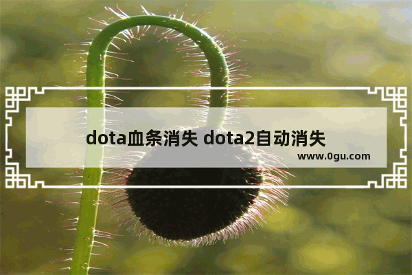 dota血条消失 dota2自动消失