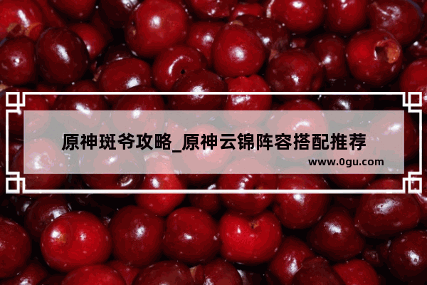 原神斑爷攻略_原神云锦阵容搭配推荐