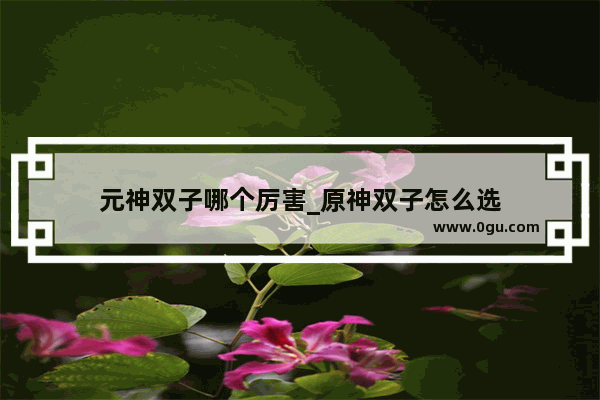元神双子哪个厉害_原神双子怎么选