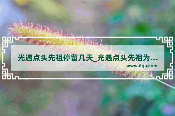 光遇点头先祖停留几天_光遇点头先祖为什么会不见