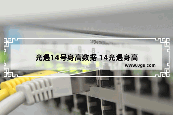 光遇14号身高数据 14光遇身高