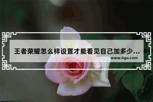王者荣耀怎么样设置才能看见自己加多少血,王者荣耀高血