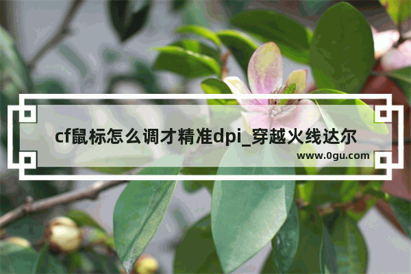 cf鼠标怎么调才精准dpi_穿越火线达尔优鼠标dpi怎么设置