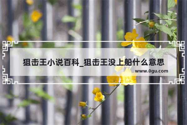 狙击王小说百科_狙击王没上船什么意思