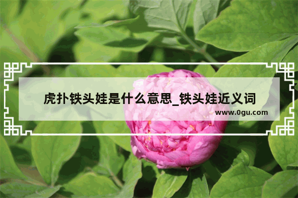 虎扑铁头娃是什么意思_铁头娃近义词