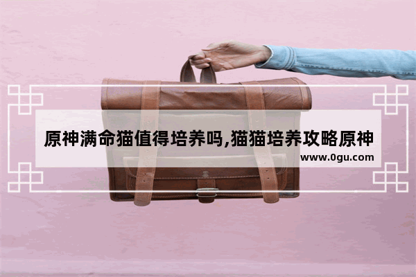 原神满命猫值得培养吗,猫猫培养攻略原神
