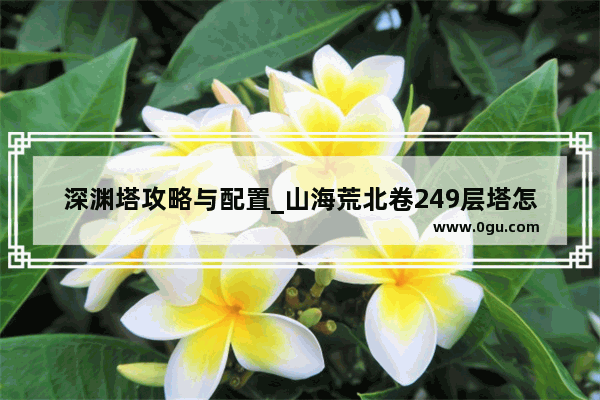 深渊塔攻略与配置_山海荒北卷249层塔怎么过