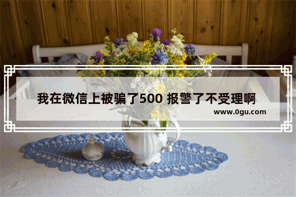 我在微信上被骗了500 报警了不受理啊 那骗子肯定不止骗我一个人啊 有没有啥办法呢_你好 我被骗了备用金500 怎么回事呢