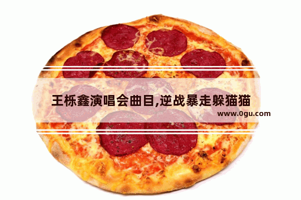 王栎鑫演唱会曲目,逆战暴走躲猫猫