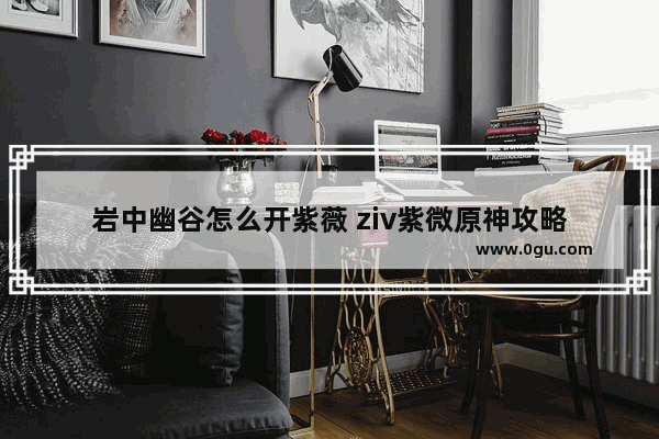 岩中幽谷怎么开紫薇 ziv紫微原神攻略