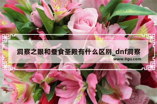 洞察之眼和蚕食圣殿有什么区别_dnf洞察之眼普通和困难奖励区别