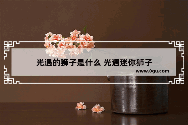 光遇的狮子是什么 光遇迷你狮子