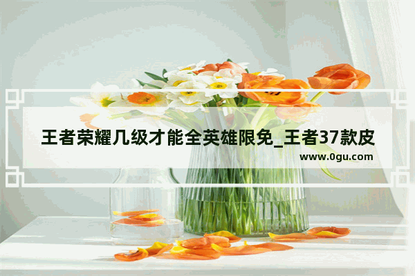 王者荣耀几级才能全英雄限免_王者37款皮肤限免多久