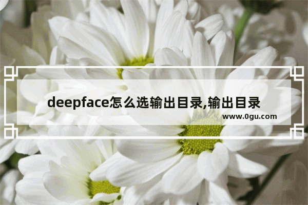 deepface怎么选输出目录,输出目录穿越火线