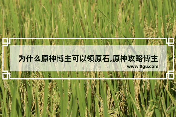 为什么原神博主可以领原石,原神攻略博主