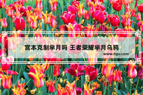宫本克制芈月吗 王者荣耀芈月乌鸦