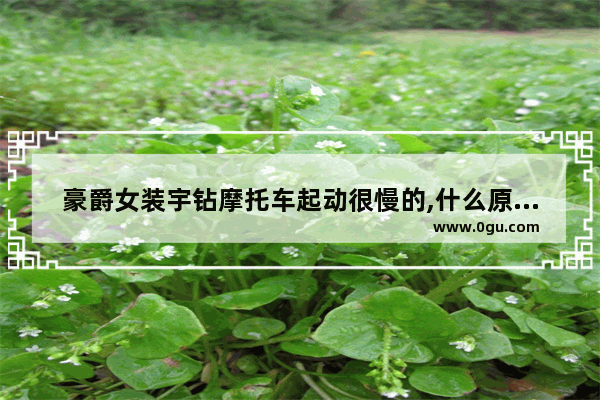 豪爵女装宇钻摩托车起动很慢的,什么原因呢_两相电机启动慢是什么原因