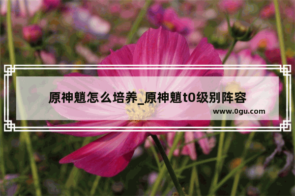 原神魈怎么培养_原神魈t0级别阵容