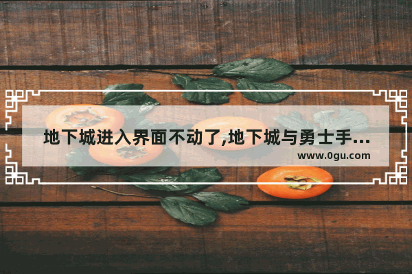 地下城进入界面不动了,地下城与勇士手游加载不了