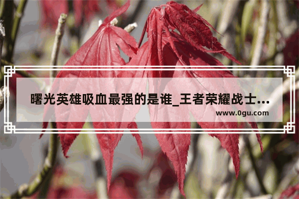 曙光英雄吸血最强的是谁_王者荣耀战士前十最强英雄