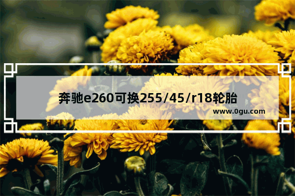 奔驰e260可换255/45/r18轮胎吗,光遇255事件