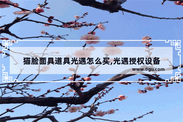 猫脸面具道具光遇怎么买,光遇授权设备