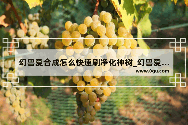 幻兽爱合成怎么快速刷净化神树_幻兽爱合成净化神树种子怎么获得