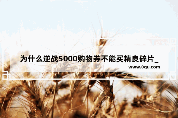为什么逆战5000购物券不能买精良碎片_逆战星光炮皮肤怎么得