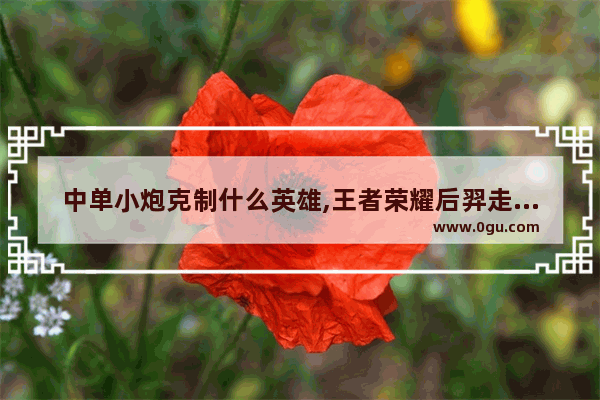 中单小炮克制什么英雄,王者荣耀后羿走位技巧