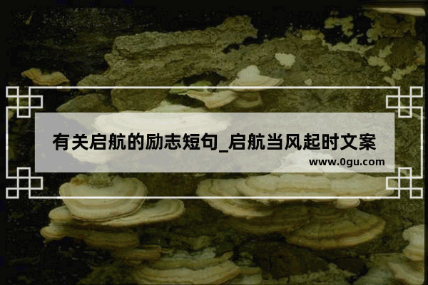 有关启航的励志短句_启航当风起时文案