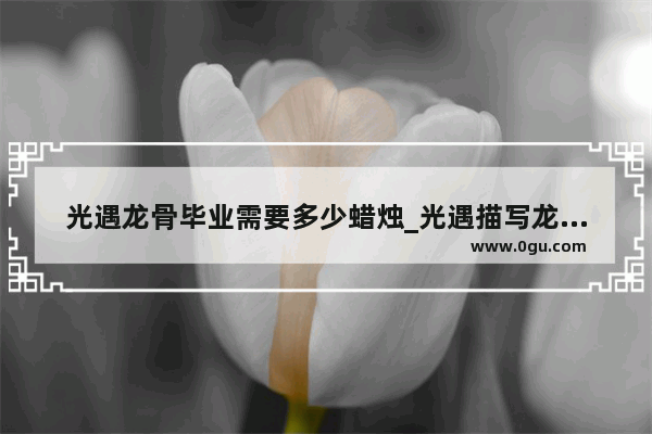 光遇龙骨毕业需要多少蜡烛_光遇描写龙骨的的句子