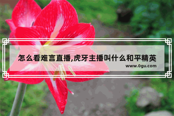 怎么看难言直播,虎牙主播叫什么和平精英
