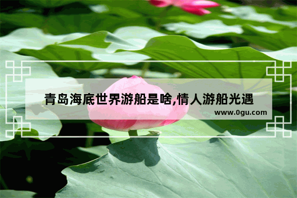 青岛海底世界游船是啥,情人游船光遇
