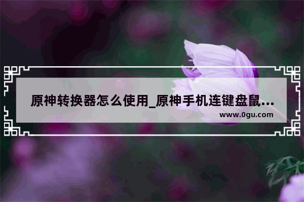 原神转换器怎么使用_原神手机连键盘鼠标映射