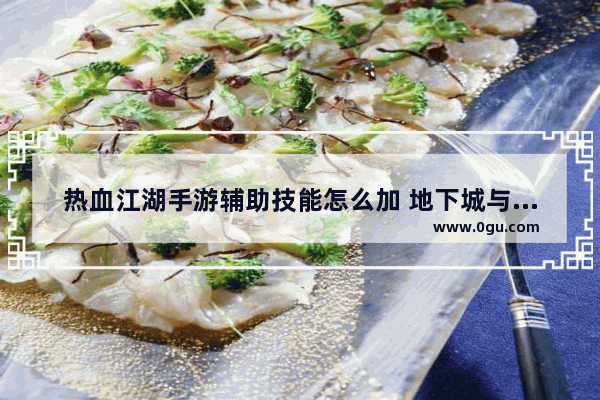 热血江湖手游辅助技能怎么加 地下城与勇士手游辅助加点