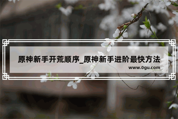 原神新手开荒顺序_原神新手进阶最快方法