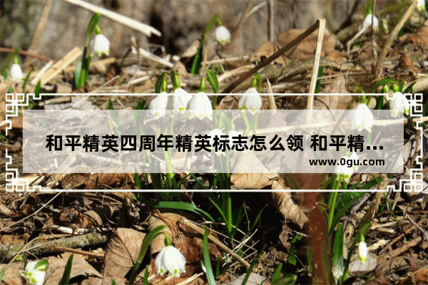 和平精英四周年精英标志怎么领 和平精英的周年庆在哪里